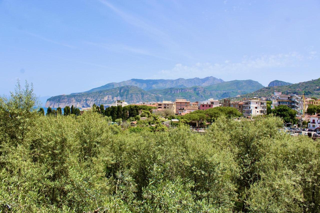 Casa Athena Bed and breakfast Península Sorrentina